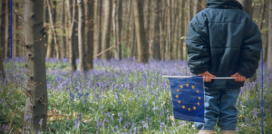România: proceduri de infringement în domeniul mediului privind exploatarea forestieră ilegală, calitatea aerului și protejarea rețelelor Natura 2000