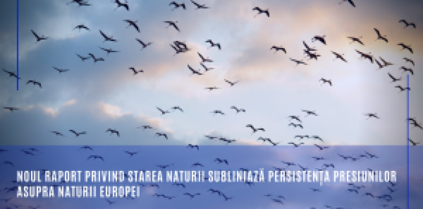 Noul raport privind starea naturii subliniază persistența presiunilor asupra naturii Europei