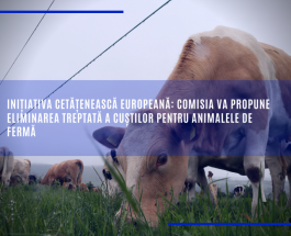 Inițiativa cetățenească europeană: Comisia va propune eliminarea treptată a cuștilor pentru animalele de fermă