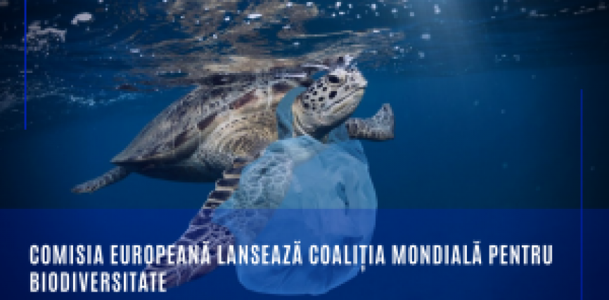 Comisia Europeană lansează coaliția mondială pentru biodiversitate