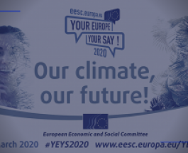 Elevi de la Colegiul Național „Ienăchiță Văcărescu” din Târgoviște vor participa la un Summit european al tineretului dedicat climei, la Bruxelles