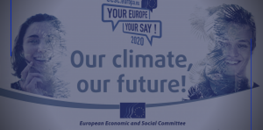 Elevi de la Colegiul Național „Ienăchiță Văcărescu” din Târgoviște vor participa la un Summit european al tineretului dedicat climei, la Bruxelles