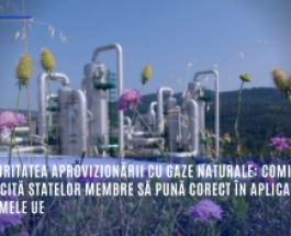 Securitatea aprovizionării cu gaze naturale: Comisia solicită statelor membre să pună corect în aplicare normele UE