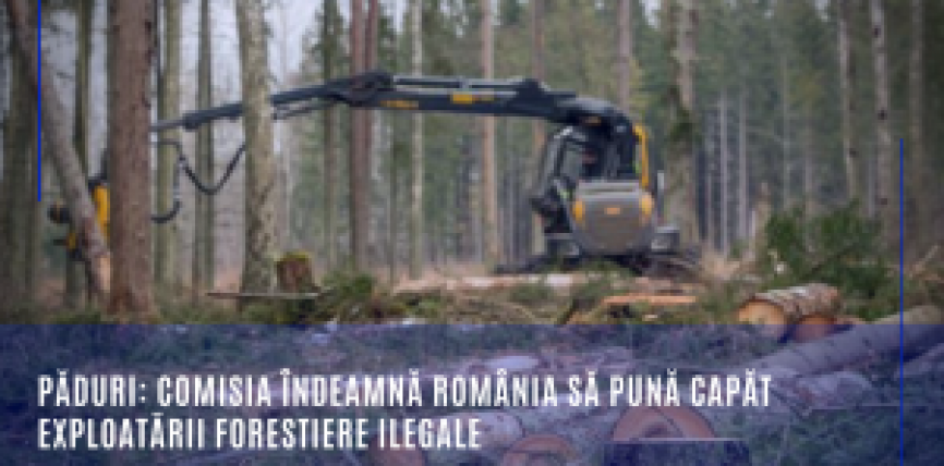 Păduri: Comisia îndeamnă România să pună capăt exploatării forestiere ilegale