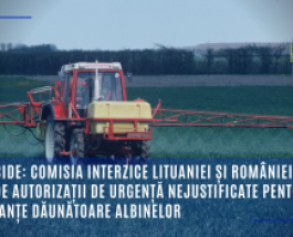 Pesticide: Comisia interzice Lituaniei și României să acorde autorizații de urgență nejustificate pentru substanțe dăunătoare albinelor