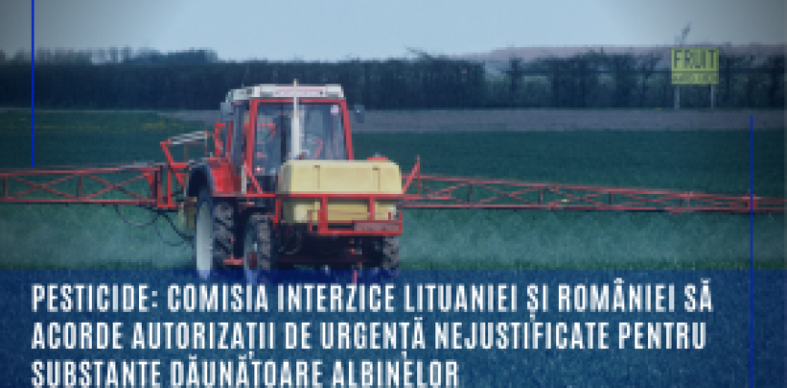 Pesticide: Comisia interzice Lituaniei și României să acorde autorizații de urgență nejustificate pentru substanțe dăunătoare albinelor