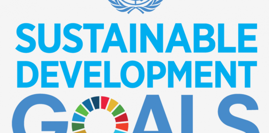 Durabilitate: Comisia prezintă un document de reflecție privind o Europă mai durabilă până în 2030
