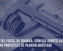 Pachetul fiscal de toamnă: Recomandare pentru România de a corecta, în 2020, abaterea semnificativă pentru atingerea obiectivului bugetar pe termen mediu
