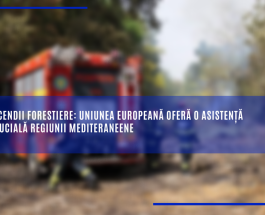 Incendii forestiere: Uniunea Europeană oferă o asistență crucială regiunii mediteraneene